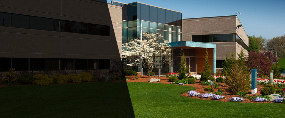 Mill Creek Landscapers