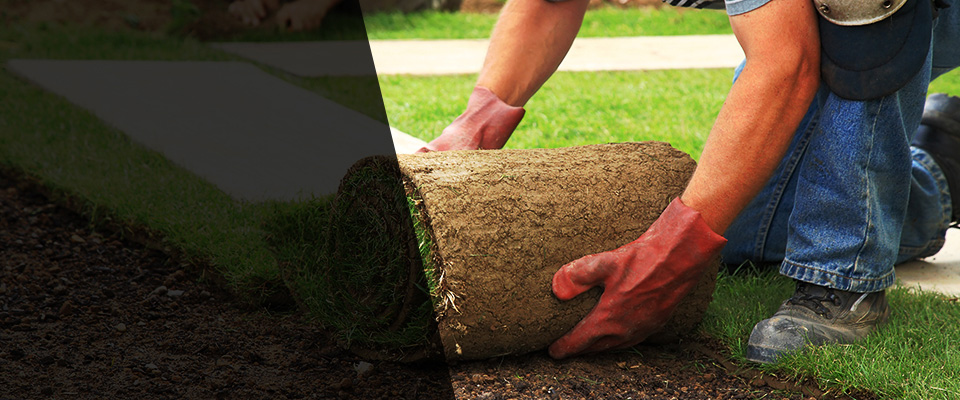 Mill Creek Landscapers